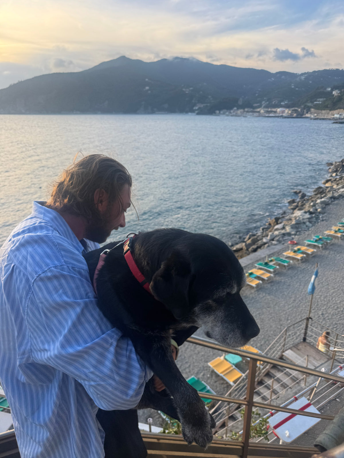 I LIKE DOGS A LOT. I AM BUILDING A HOUSE IN ITALY WHERE I HOPEFULLY WILL HAVE MANY
