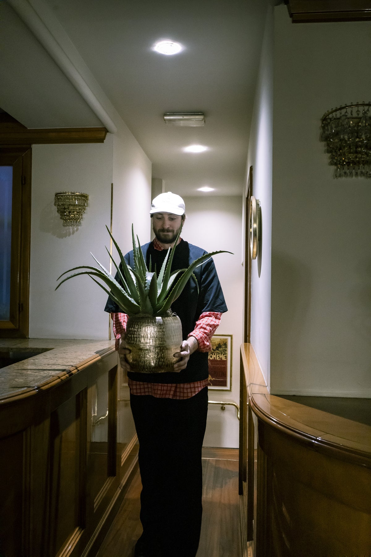HOLDING PLANTS